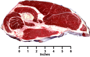 Chuck Arm Steak