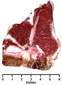 Loin T-Bone Steak