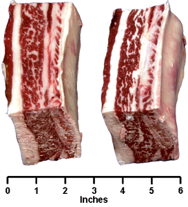 Plate Short Ribs