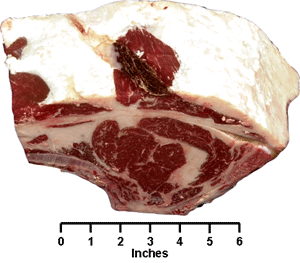 Rib Roast (Large End)