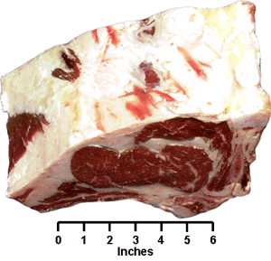 Rib Roast (Small End)