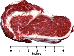 Ribeye Steak