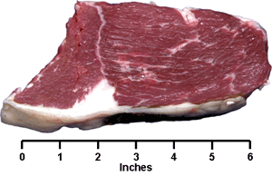 Round Bottom Round Steak