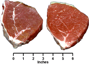 Round Eye Round Steak
