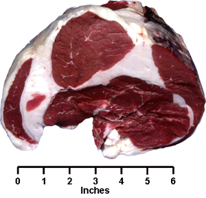 Round Heel of Round Roast
