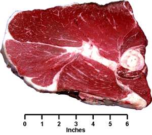 Round Steak