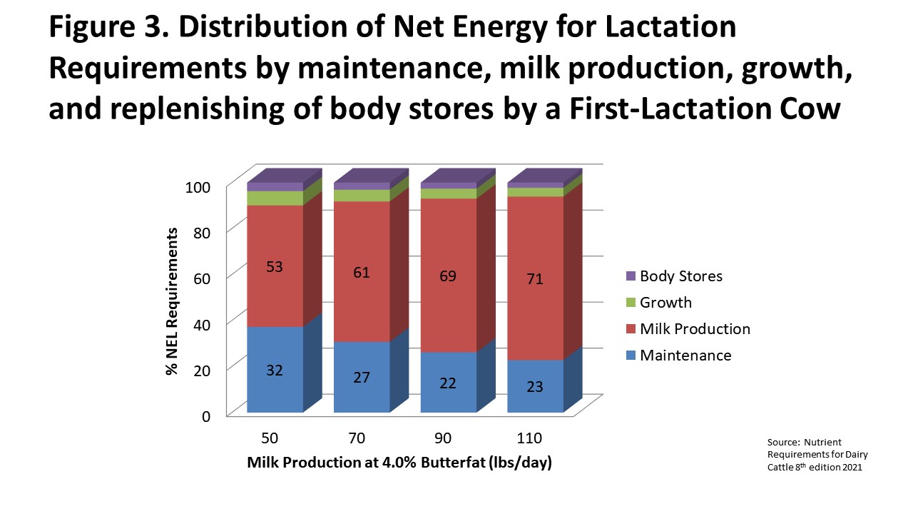 Distribution of Net Energy of lactation requirement for maintenance, milk production, growth, and replenishing body stores by a first lactation cow.