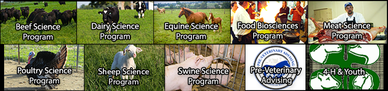 Department sections - Beef Science Program, Dairy Science Program, Equine Science Program, Food Biosciences Program, Meat Science Program, Poultry Science Program, Pre-Veterinary Medicine Program, Sheep Science Program, Swine Science Program, 4-H & Youth