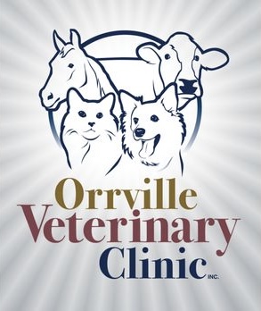 Erin Homerosky veterinary clinic 