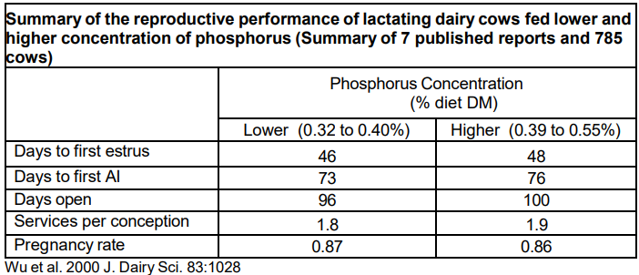 Summary of the reproductive performance of lactating dairy cows fed lower and higher concentration of phosphorus 