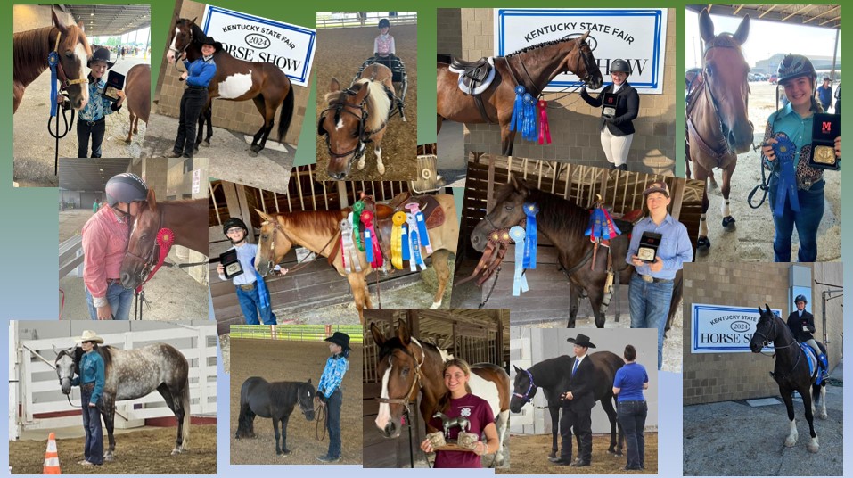 Collage of horses and riders at the KY State Fair Horse Show