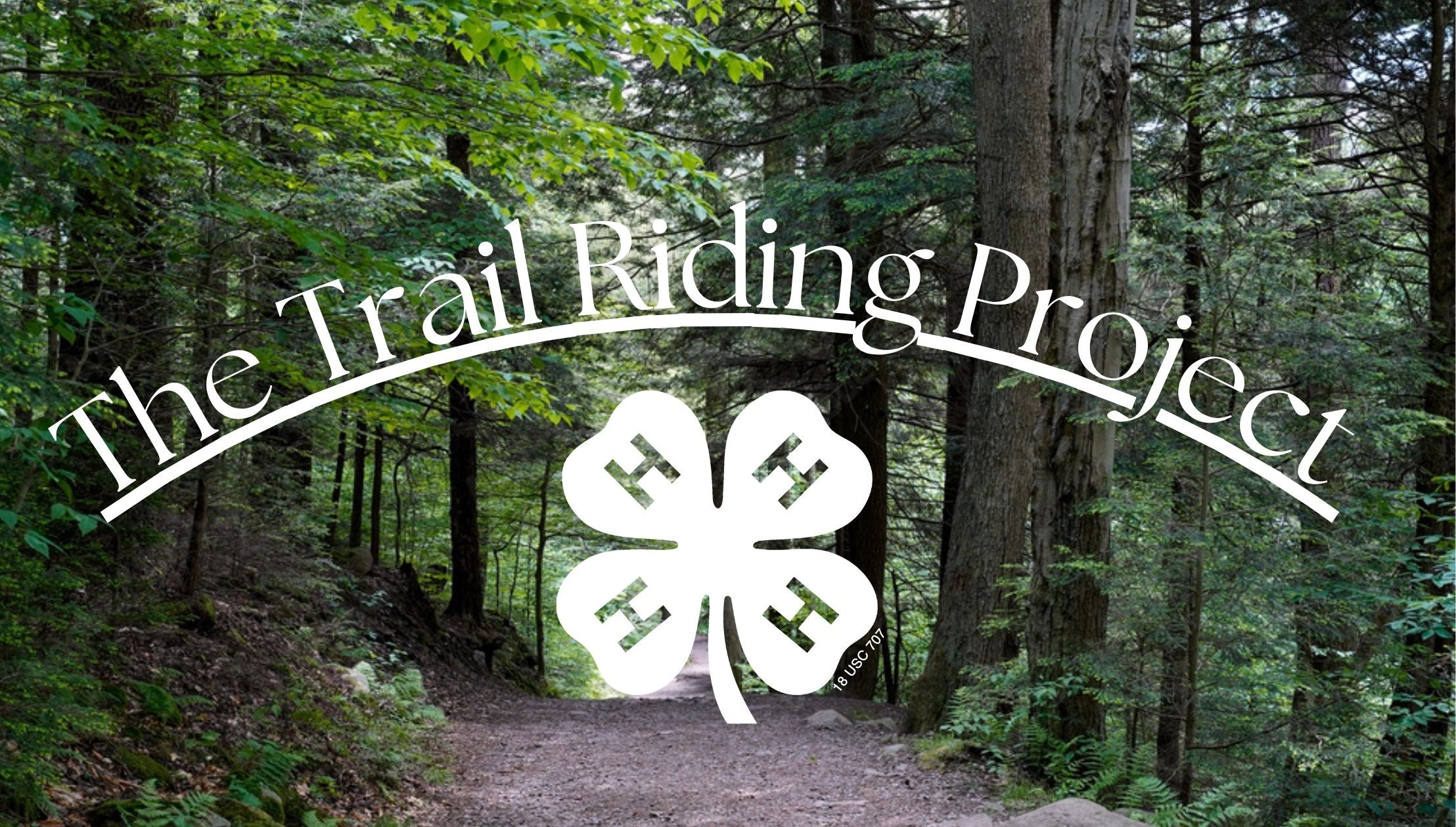 Forest with 4-H Clover and text. 