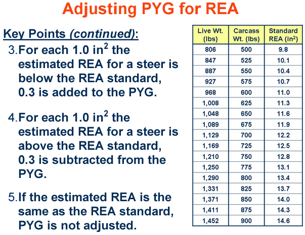 Adjusting OYG for REA Key Poitns