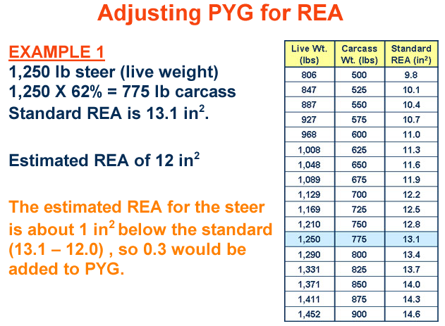 Adjusting PYG for REA