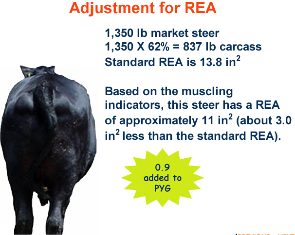 Adjusting for REA