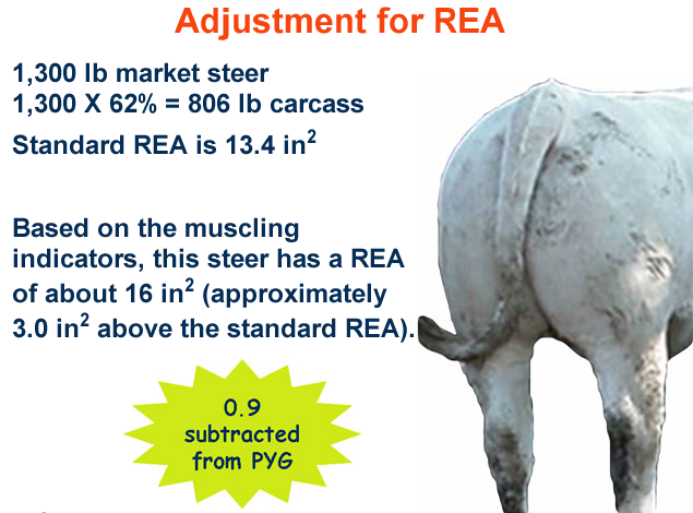 Adjustment for REA