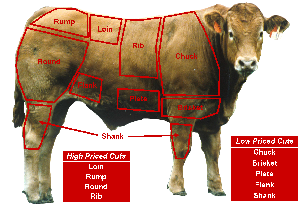 A diagram of a beef bull with cuts outlined and labeled