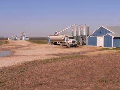 A truck gets feed from silos at broiler farm