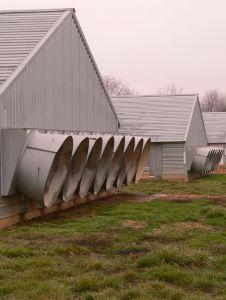 Poultry Houses at a Commercial Broiler Farm