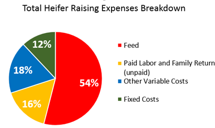 Figure 1: This chart outlines what percentages feed, labor, variable and fixed costs contribute to the total expense of raising replacement animals on Wisconsin farms in 2015.