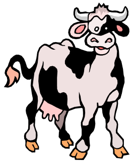 Judging Dairy Cattle | Animal & Food Sciences