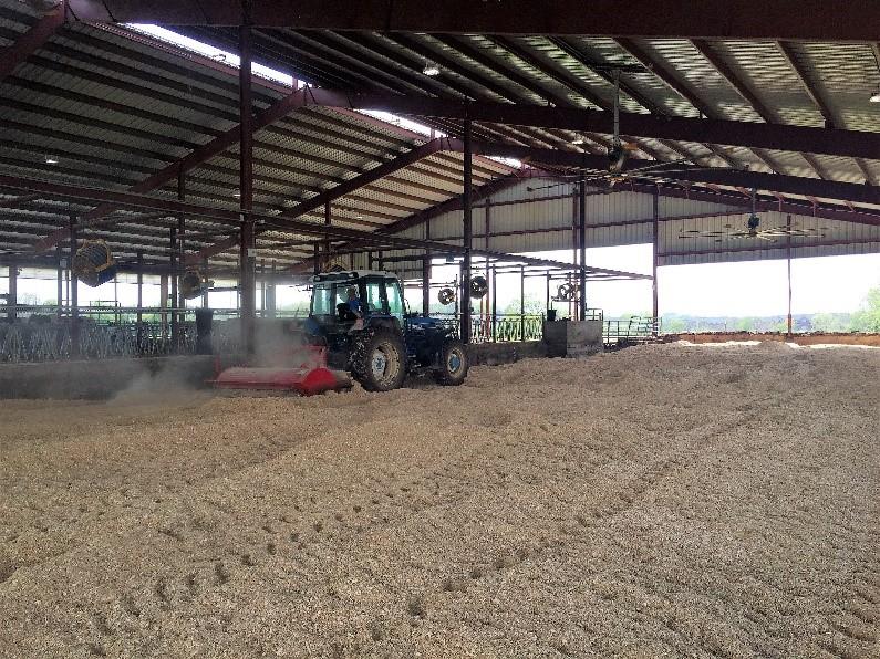 Figure 1 Restarting compost bedding at UK Coldstream Dairy: May, 2018