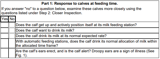 Response to Calves at Feeding Time