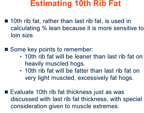 Estimating 10th Rib Fat