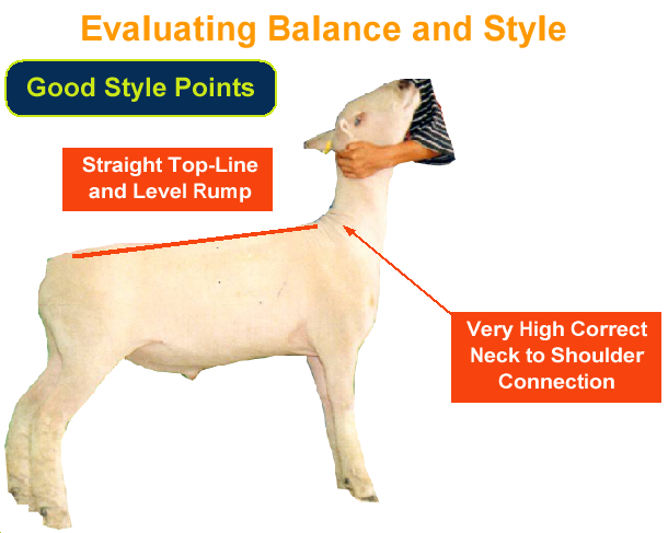 Evaluating Balance and Style - Good Style Points