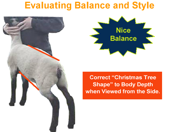 Evaluating Balance and Style Nice Balance