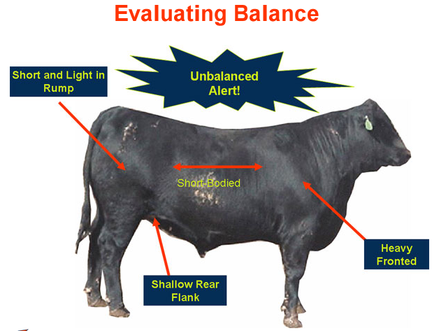 Evaluating Balance - Unbalanced Alert