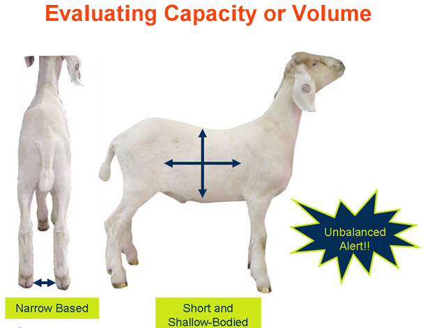 Evaluating Capacity of Volume Unbalanced Alert
