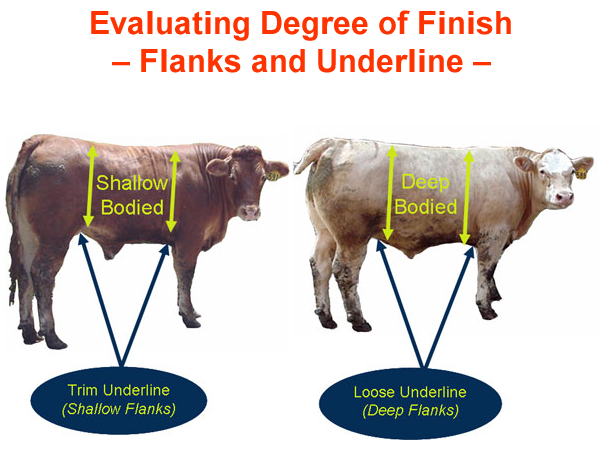Evaluating Degree of Finish Flanks and Underline