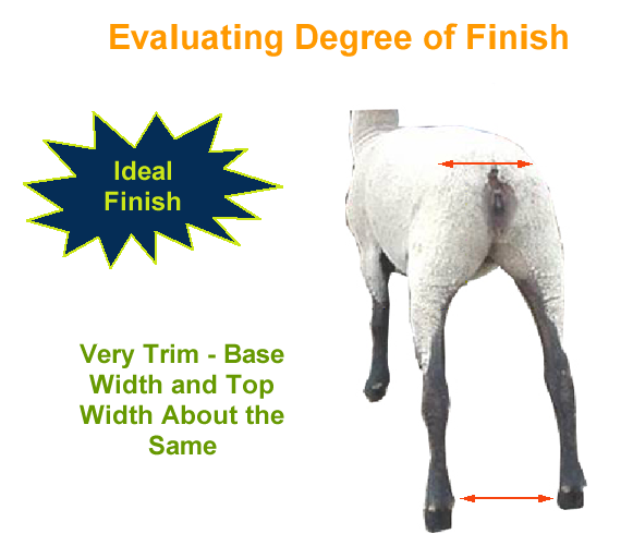 Evaluating Degree of Finish Ideal Finish