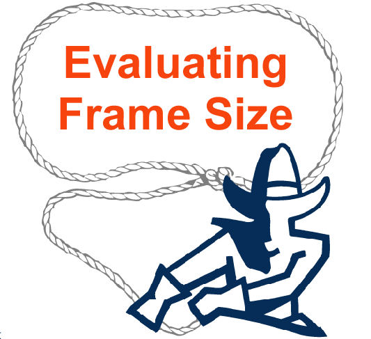 Evaluating Frame Size
