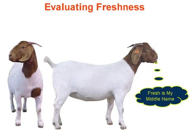 Evaluating Freshness - fresh