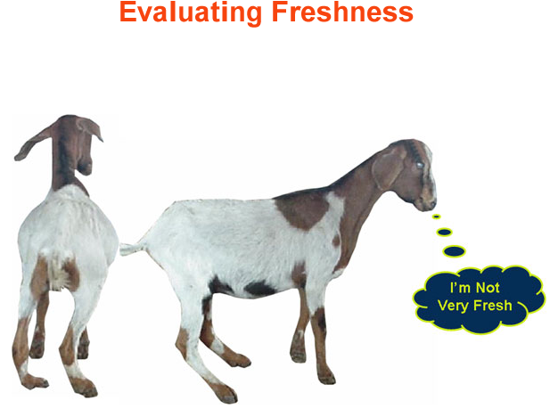 Evaluating Freshness not fresh