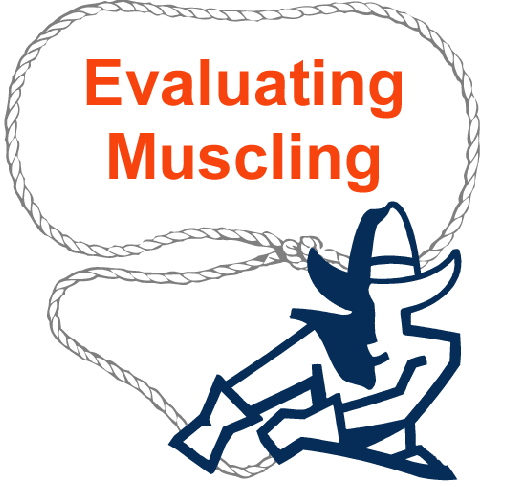 Evaluating Muscling