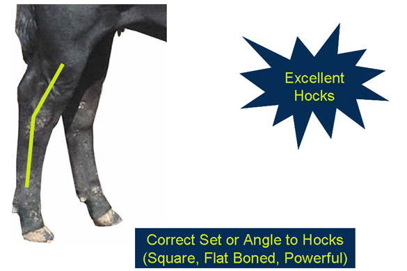 Evaluating structure excellent hocks