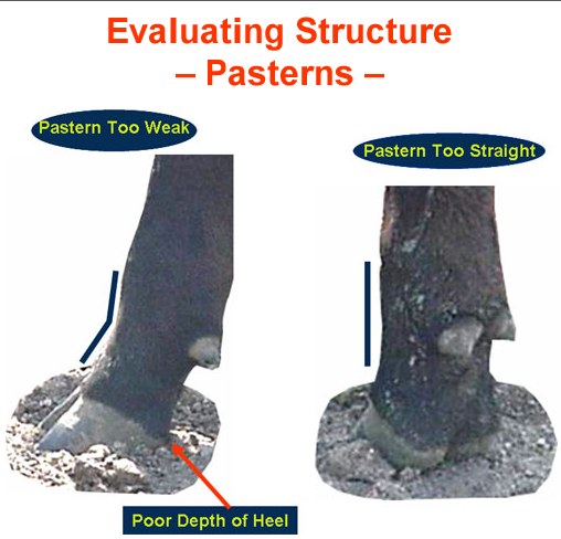 Evaluating Structure Pasterns