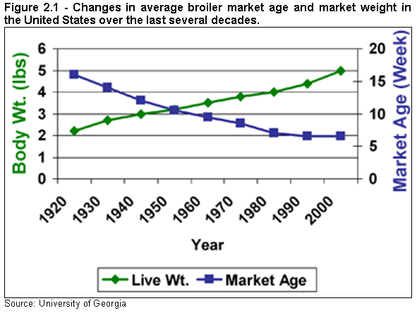 Figure 2.1 - Changes in average broiler market age and market weight in the United States over the last several decades