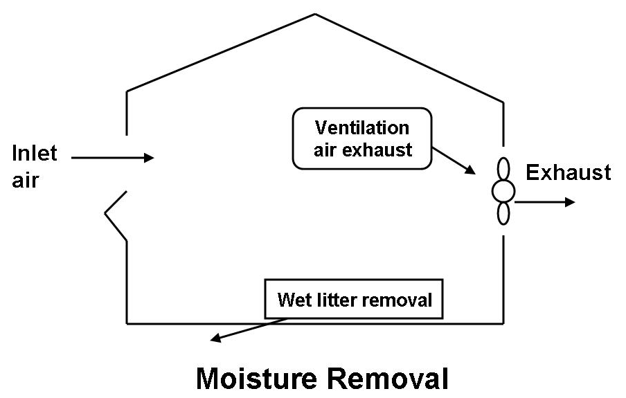 Moisture removal