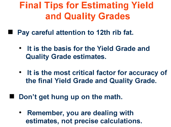final tips for estimating yield and quality grades