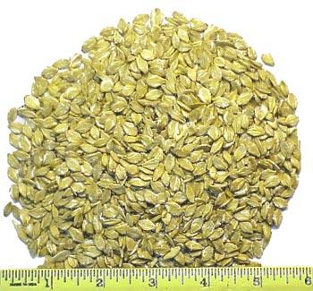 Steam Rolled Barley