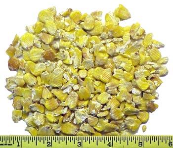 Steam Flaked Corn