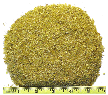 Corn Distillers Dried Grain