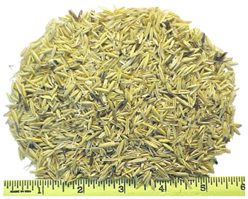 Oat Hulls