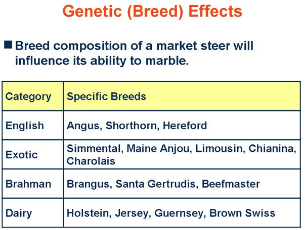 Genetic breed Effects