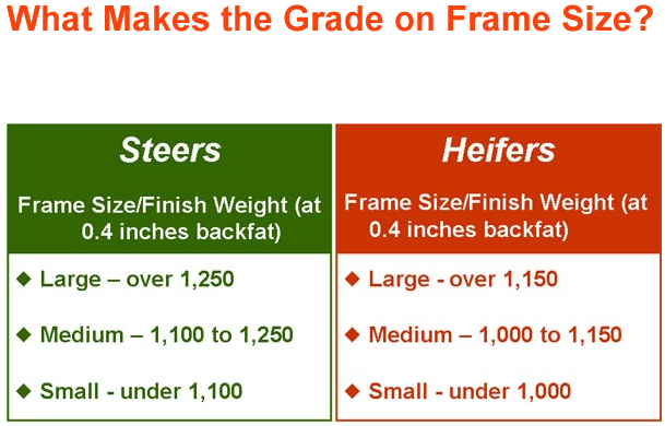 What Makes the Grade on Frame Size?