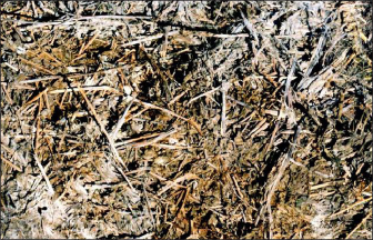 Moldy hay (Ray Smith, UK Plant and Soil Sciences)